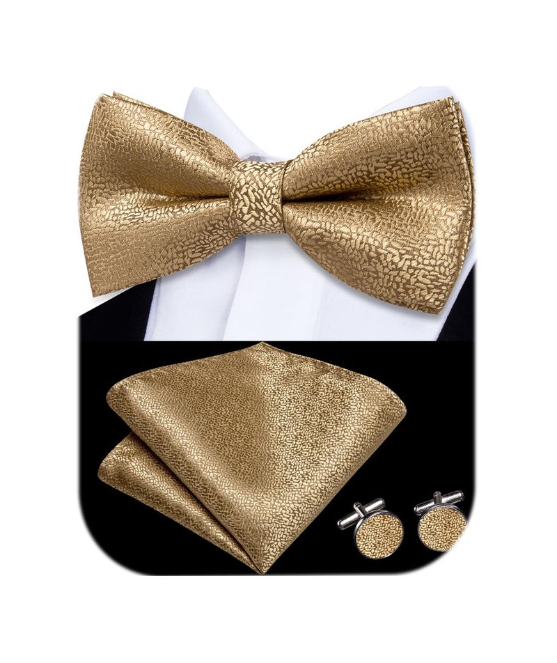 Dubulle Mens Solid Brown Gold Paisley Striped Bowtie Set Pre-tied Bowtie for Men and Pocket Square Set Wedding Business - Image 1